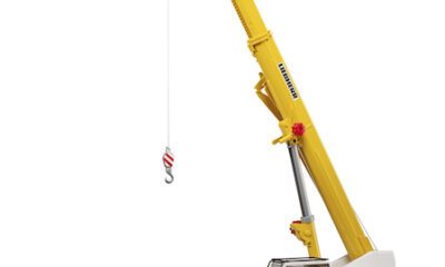 Jeřáb Scania Bruder 3571